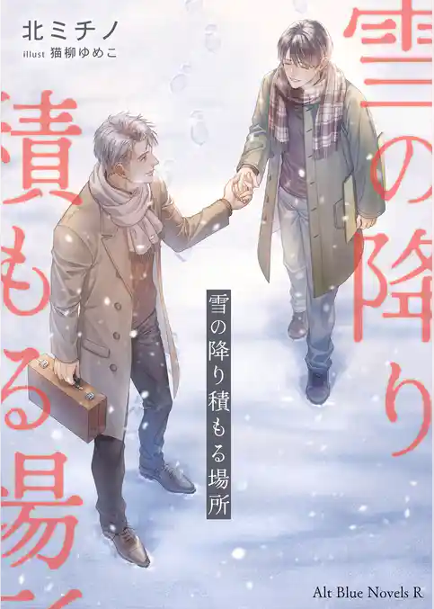 雪の降り積もる場所