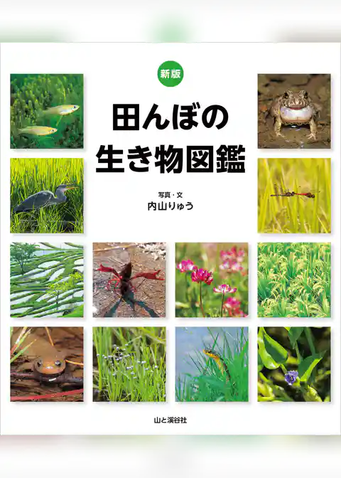 新版 田んぼの生き物図鑑
