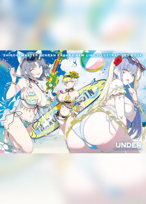 シノビマスター 閃乱カグラ NEW LINK　ILLUSTRATIONS BOOK