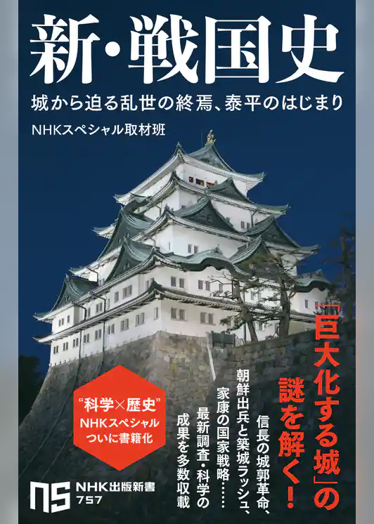 新・戦国史　城から迫る乱世の終焉、泰平のはじまり