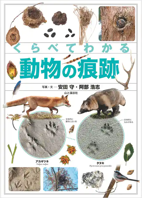 くらべてわかる動物の痕跡