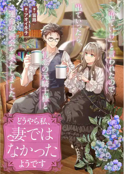 どうやら私、妻ではなかったようです　「出ていけ」と言われたので出ていったら、初恋の元騎士様と運命の再会を果たしました。