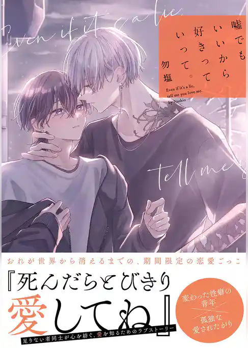 嘘でもいいから好きっていって。 【電子限定おまけ付き】
