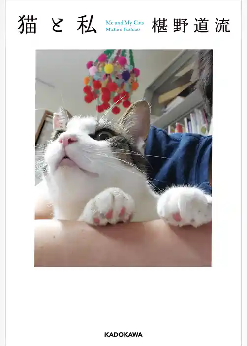 猫と私