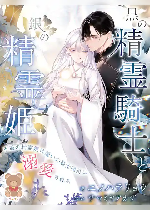 黒の精霊騎士と銀の精霊姫～不遇の精霊姫は憂いの騎士団長に溺愛される～