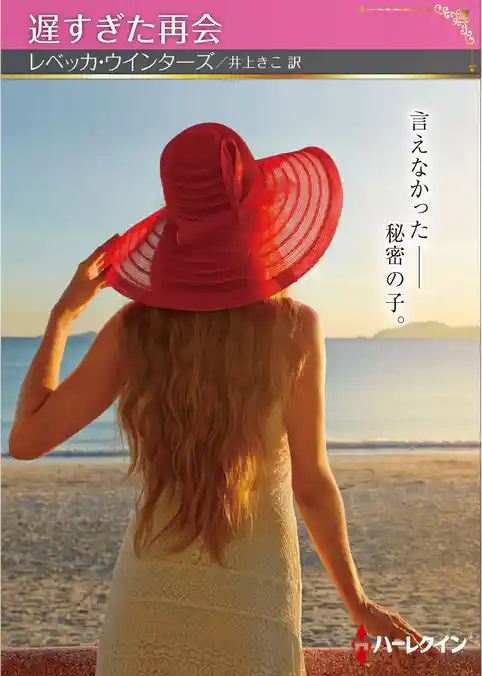 遅すぎた再会【ハーレクインSP文庫版】