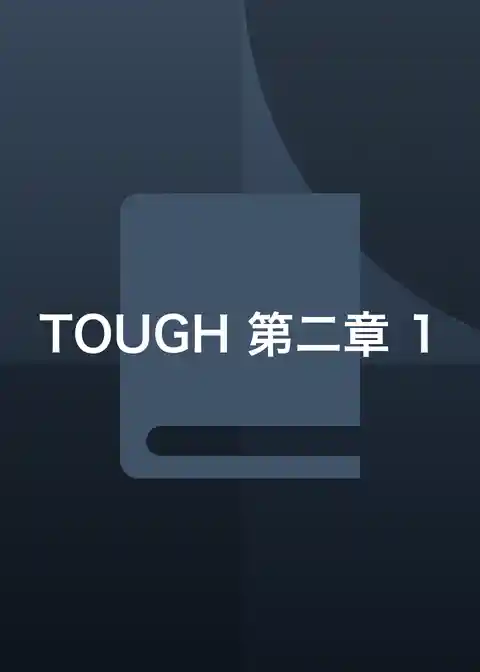 TOUGH 第二章