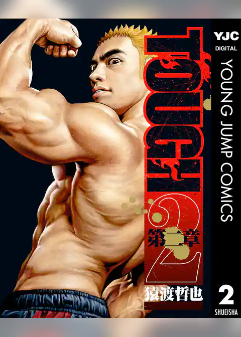 TOUGH 第二章