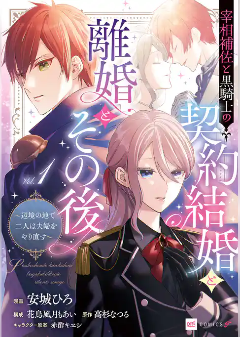 宰相補佐と黒騎士の契約結婚と離婚とその後