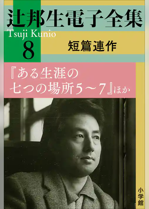 辻邦生電子全集 8巻 短篇連作　『ある生涯の七つの場所5～7』ほか