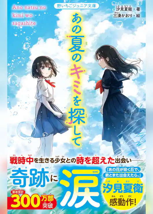 あの夏のキミを探して