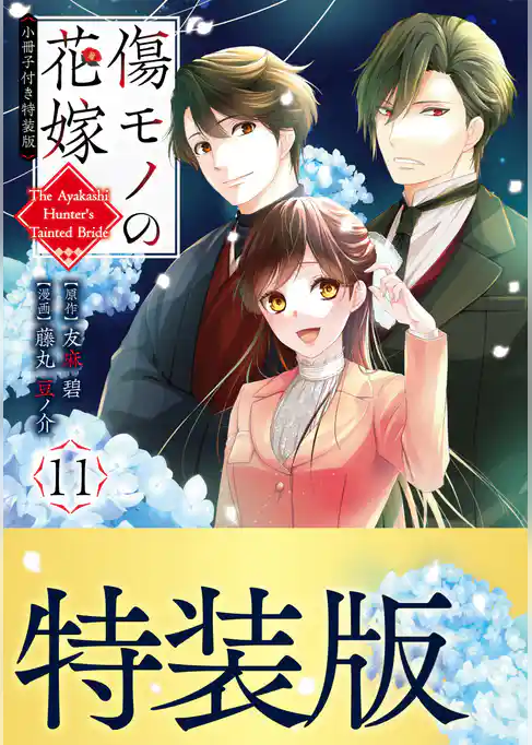 傷モノの花嫁（１１）　小冊子付き特装版