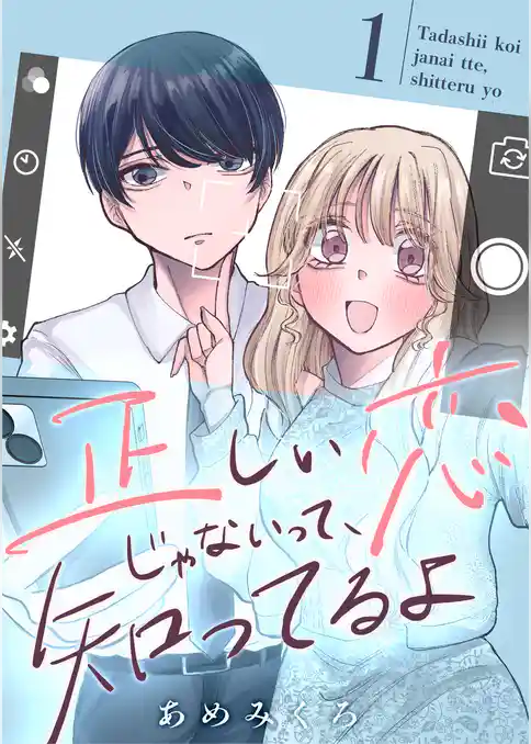 正しい恋じゃないって、知ってるよ【単行本版】