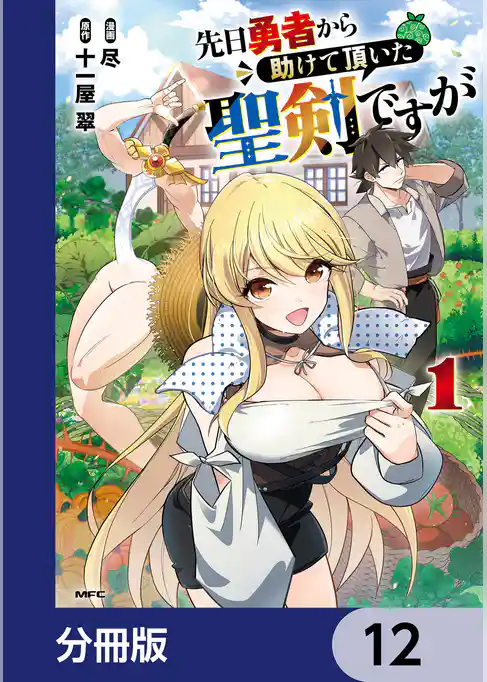 先日勇者から助けて頂いた聖剣ですが【分冊版】