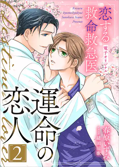 恋する救命救急医　運命の恋人２【電子オリジナル】