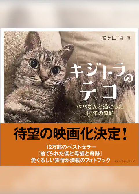 キジトラのテコ　パパさんと過ごした14年の奇跡