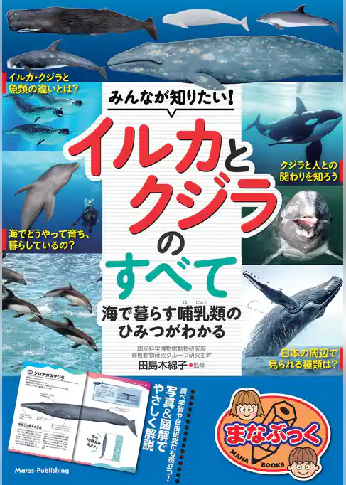 みんなが知りたい! イルカとクジラのすべて 海で暮らす哺乳類のひみつがわかる