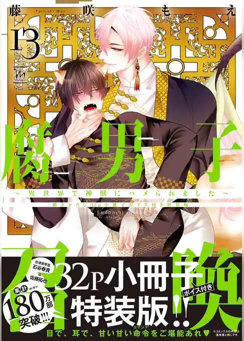 腐男子召喚～異世界で神獣にハメられました～ ： 13 【描き下ろし32p小冊子ボイス付き特装版】