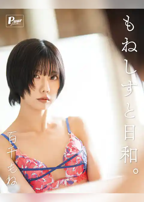 もねしすと日和。