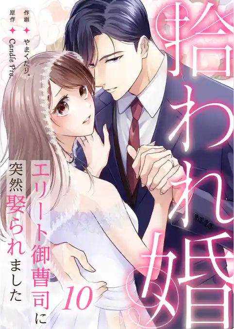 拾われ婚 エリート御曹司に突然娶られました