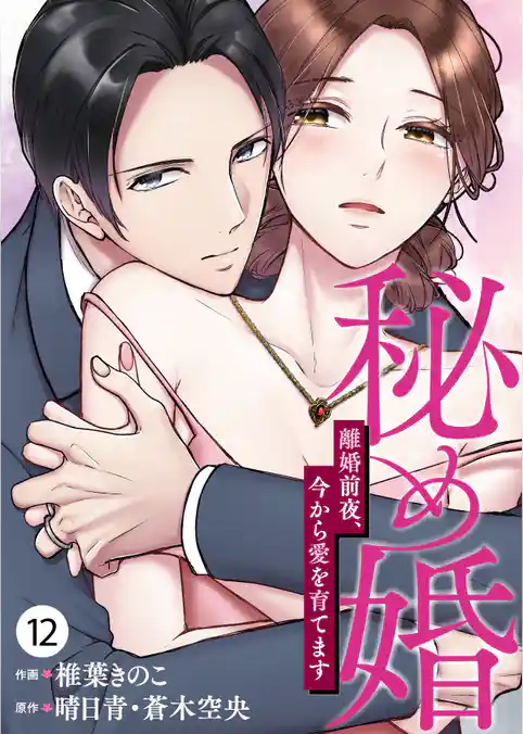 秘め婚 離婚前夜、今から愛を育てます