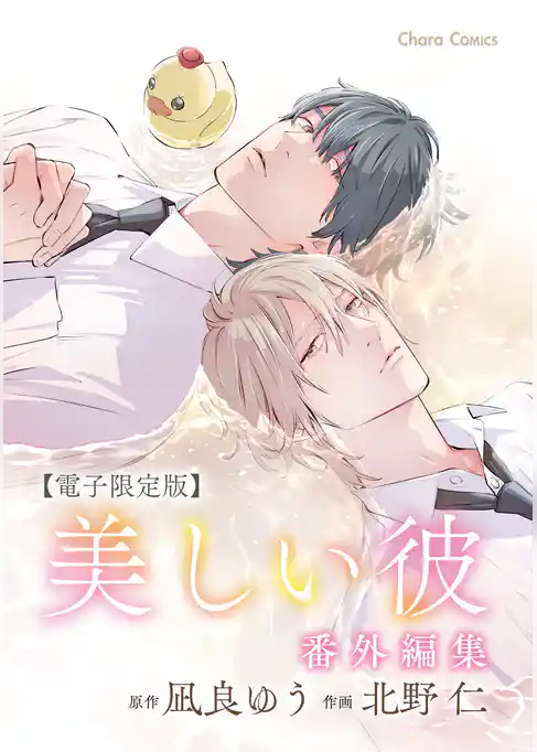 「美しい彼」番外編集【電子限定版】