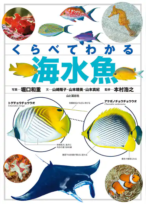 くらべてわかる海水魚