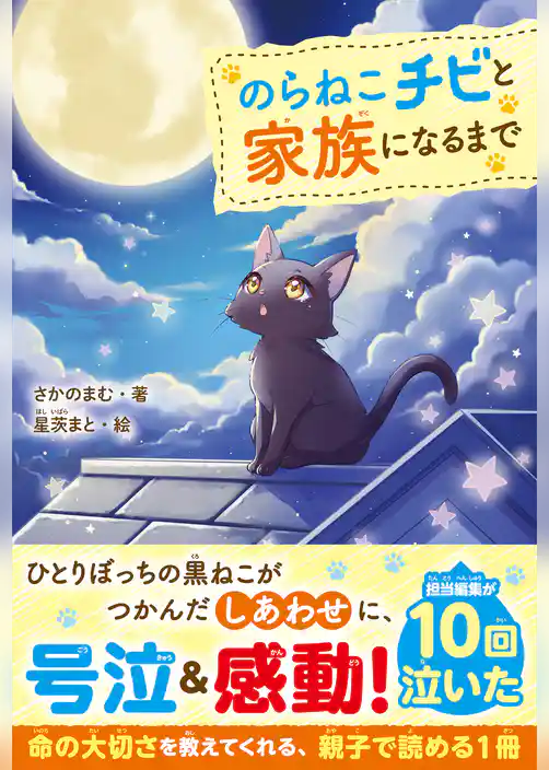 のらねこチビと家族になるまで