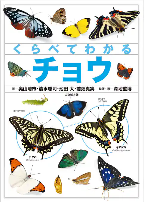 くらべてわかるチョウ