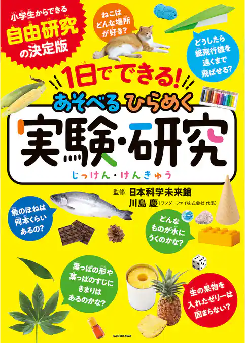 １日でできる！　あそべるひらめく実験・研究
