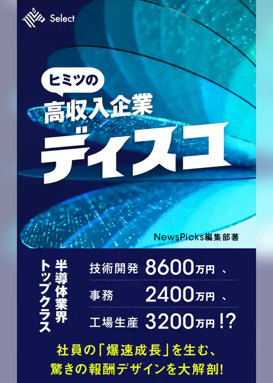 ヒミツの高収入企業 ディスコ