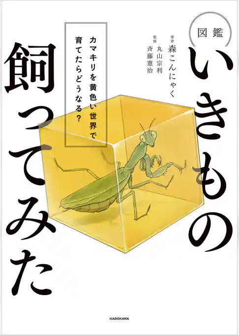 図鑑いきもの飼ってみた　カマキリを黄色い世界で育てたらどうなる？