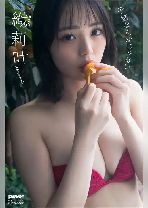 織莉叶 子猫なんかじゃない