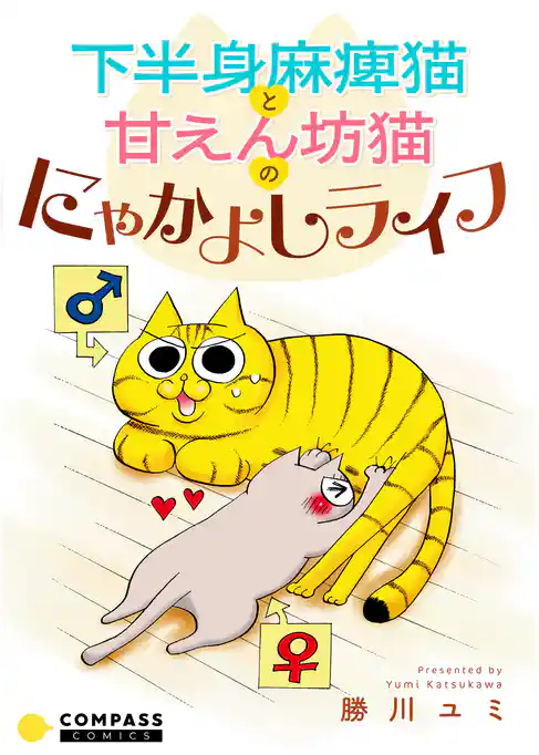 下半身麻痺猫と甘えん坊猫のにゃかよしライフ