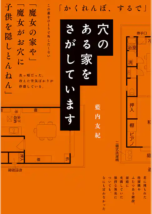 穴のある家をさがしています