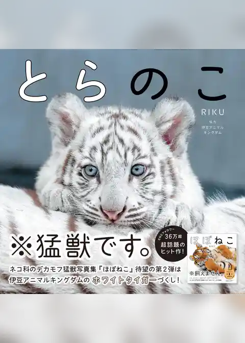 とらのこ