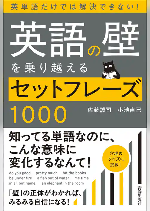 英語の壁を乗り越えるセットフレーズ1000