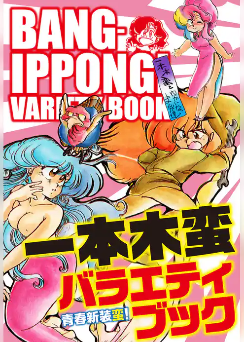 一本木蛮バラエティブック 青春新装蛮!