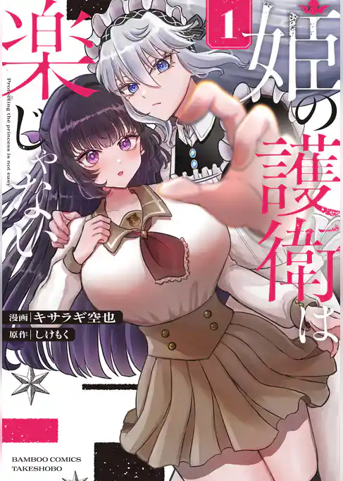 姫の護衛は楽じゃない