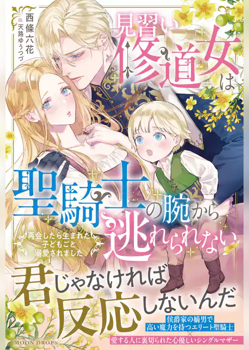 見習い修道女は聖騎士の腕から逃れられない 再会したら生まれた子どもごと溺愛されました