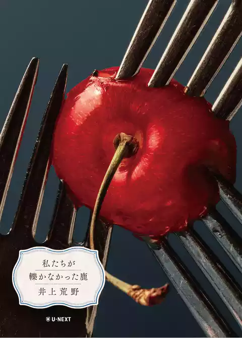 井上荒野 短編シリーズ
