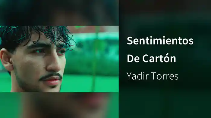 Sentimientos De Cartón