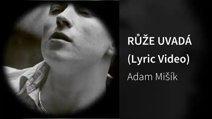 RŮŽE UVADÁ (Lyric Video)