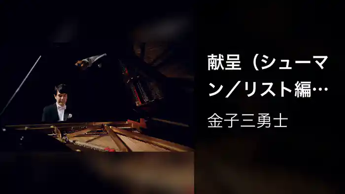 献呈（シューマン／リスト編） S.566