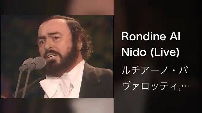 Rondine Al Nido (Live)
