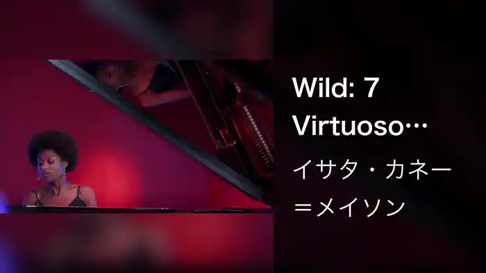Wild: 7 Virtuoso Etudes: 1. I Got Rhythm (after G. Gershwin)