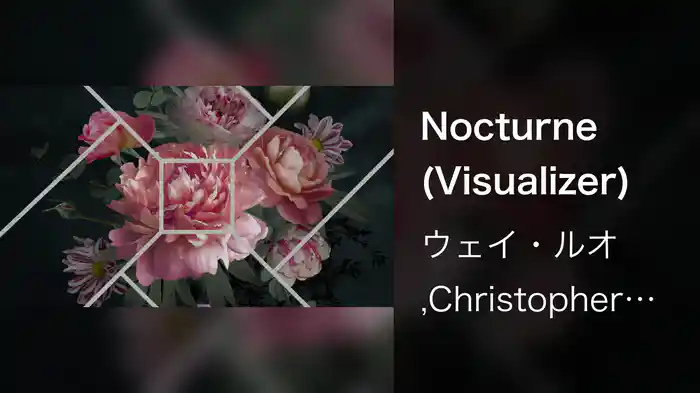 Nocturne (Visualizer)