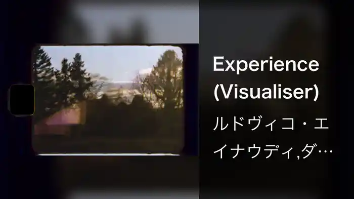 Experience (Visualiser)