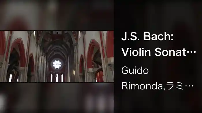 J.S. Bach: Violin Sonata No. 1 in B Minor, BWV 1014: II. Allegro