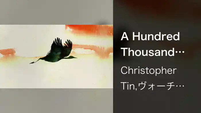A Hundred Thousand Birds (Visualizer)